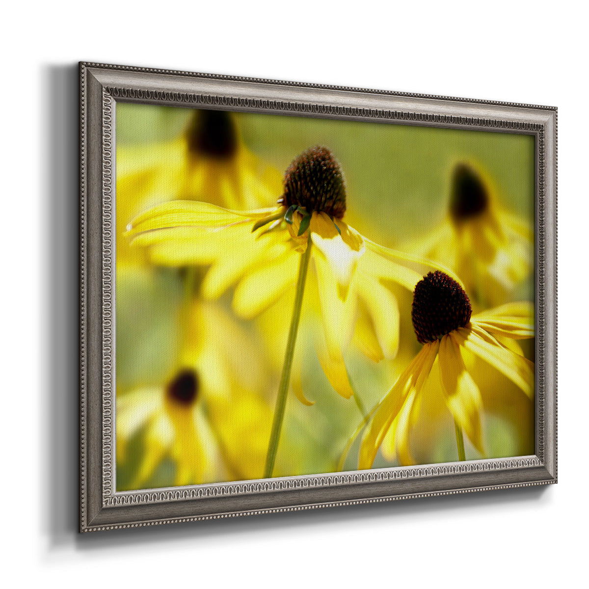 Modern floral Susan flower photography printed on canvas in an ornate vintage silver frame.