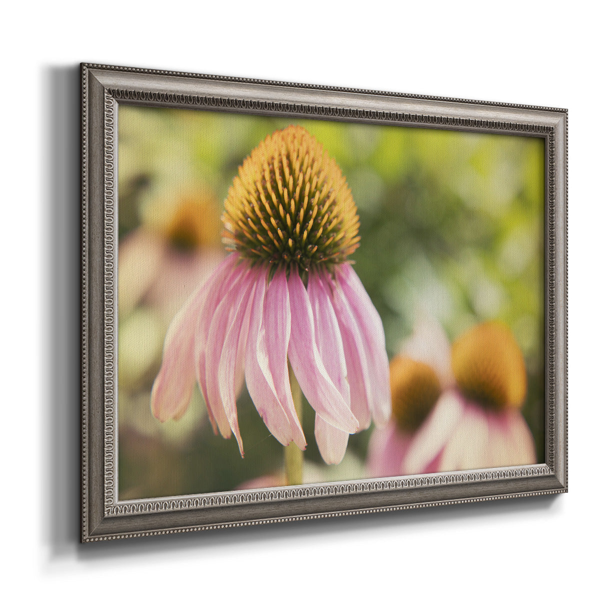 Close-up echinacea bloom photography printed on canvas in an ornate vintage silver frame.