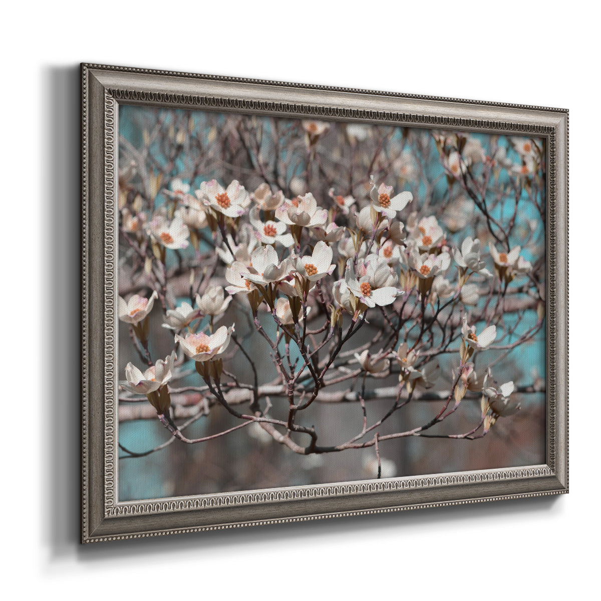 Modern spring dogwood flower photograph printed on canvas in an ornate vintage silver frame.