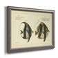 Antique fish species illustration diagram printed on canvas in an ornate vintage silver frame.