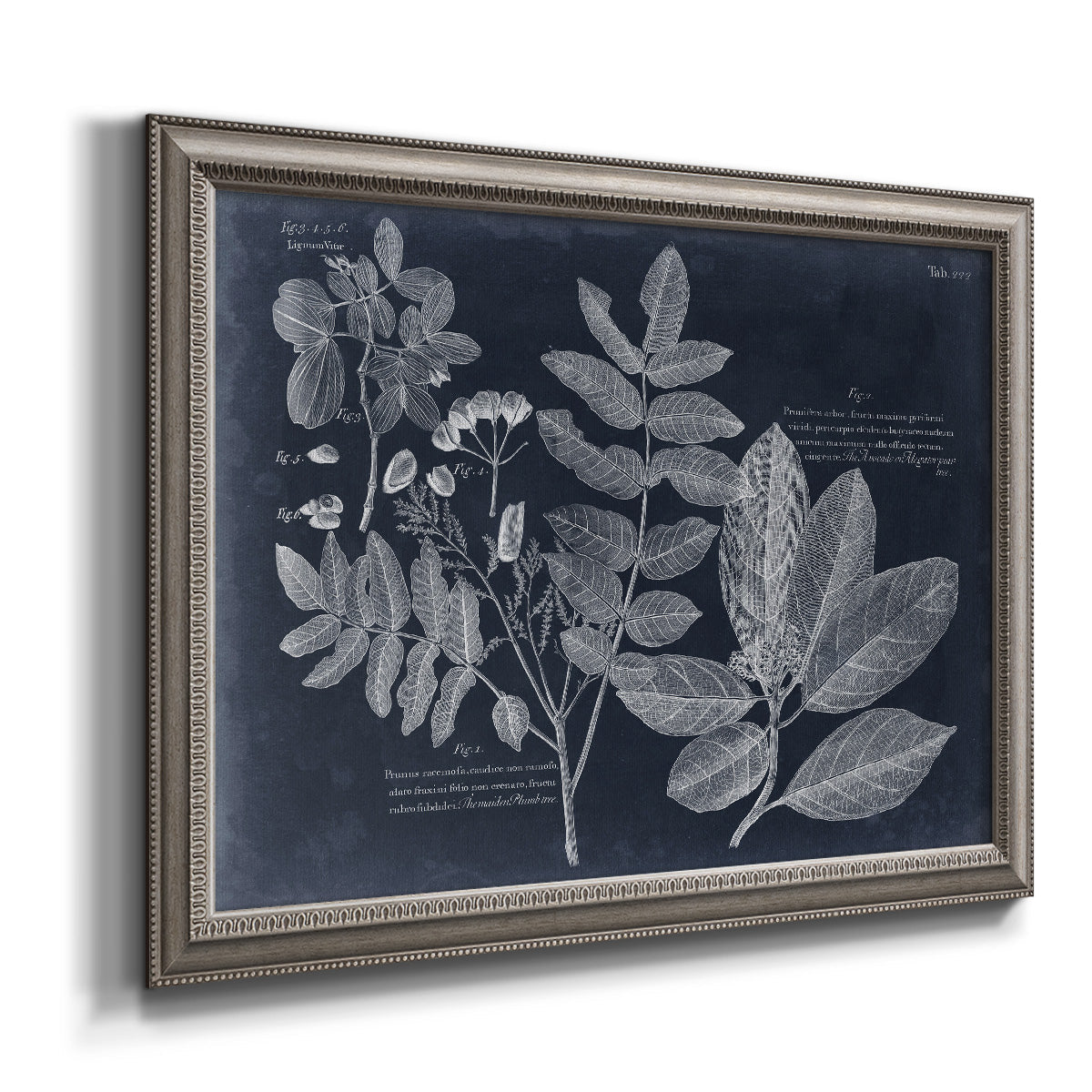 Antique botanical foliage artwork on navy background printed on canvas in an ornate vintage silver frame.