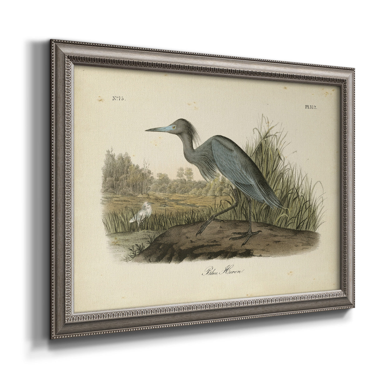 Antique blue heron bird illustration by John James Audubon printed on canvas in an ornate vintage silver frame.