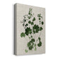 Forest Foliage on Linen III Premium Gallery Wrapped Canvas - Ready to Hang