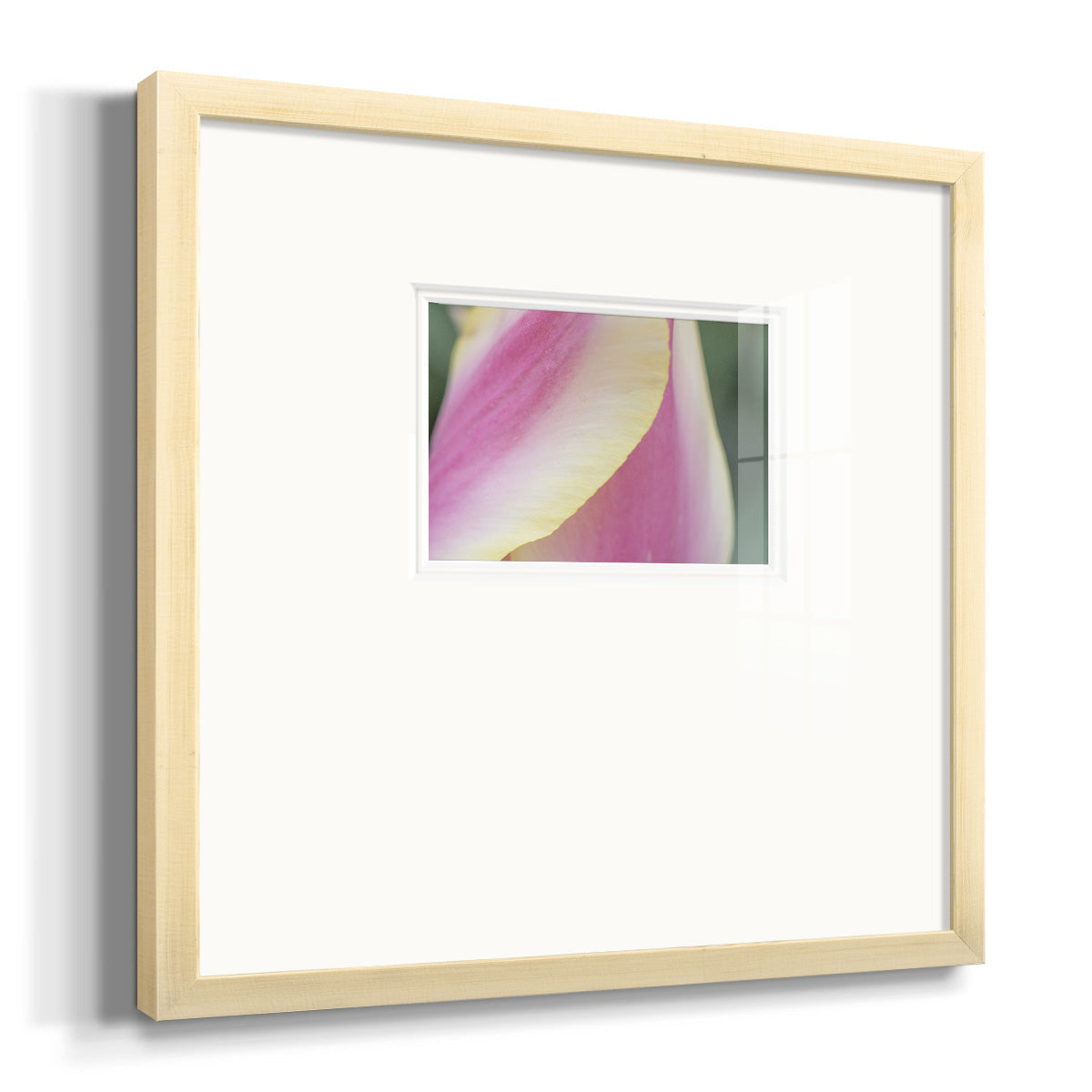 Delicate Premium Framed Print Double Matboard