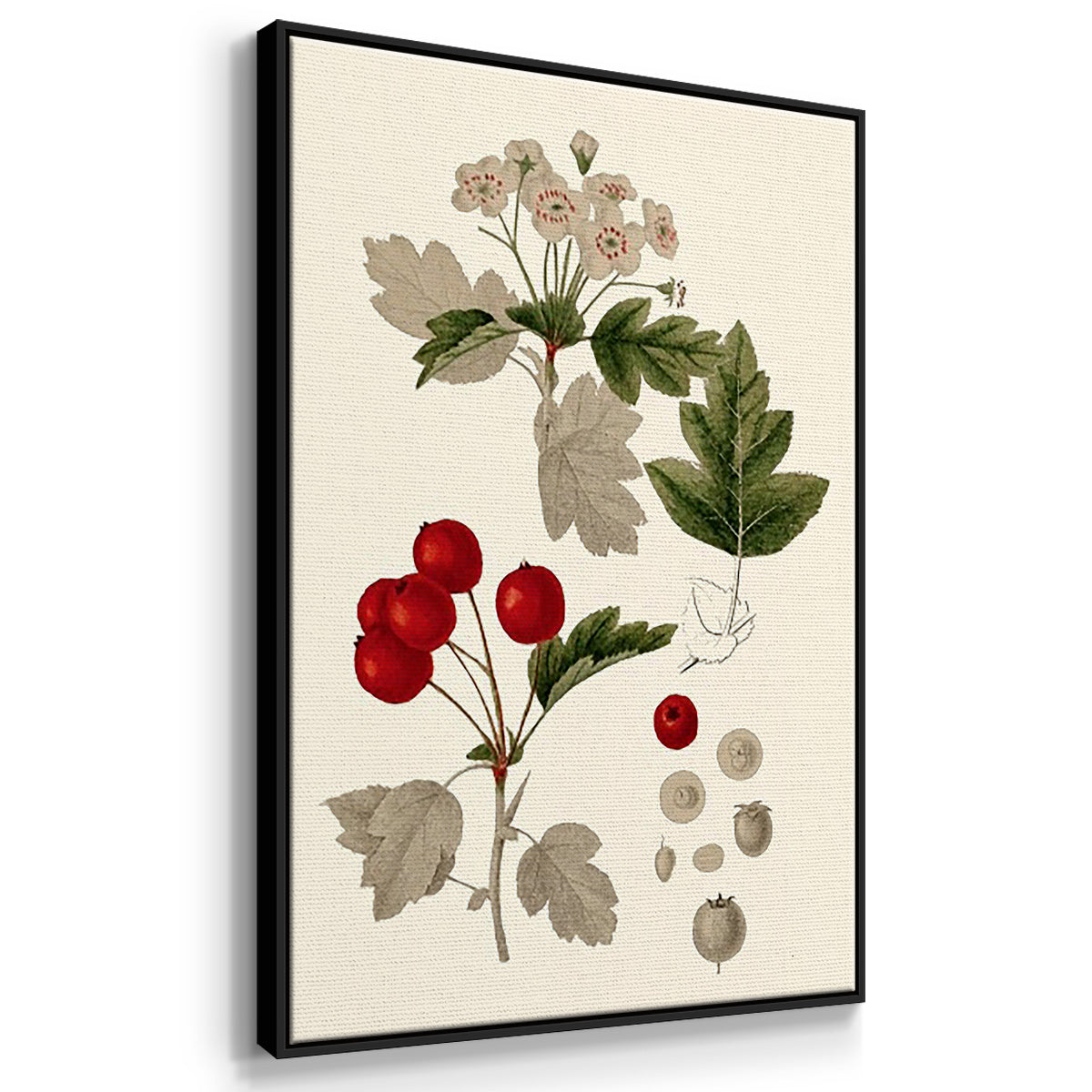 Leaves & Berries I - Framed Premium Gallery Wrapped Canvas L Frame 3 Piece Set - Ready to Hang