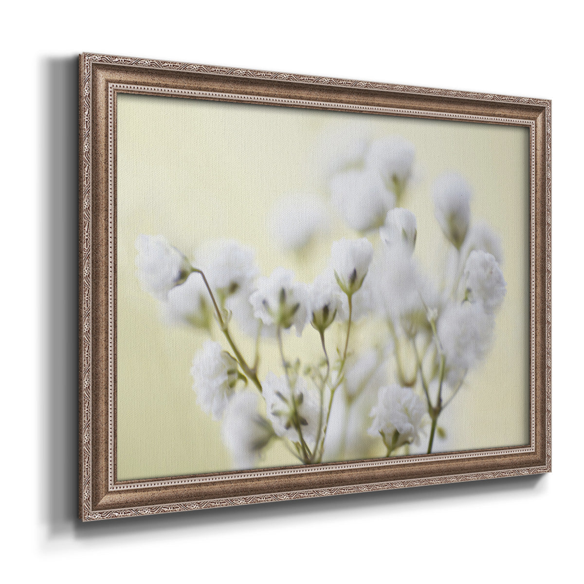 Baby's Breath Study IV Premium Framed Canvas- Ready to Hang