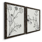 Botanical Study I   - Premium Framed Canvas 2 Piece Set - Ready to Hang