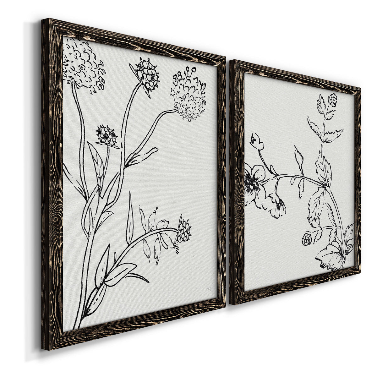 Botanical Study I   - Premium Framed Canvas 2 Piece Set - Ready to Hang