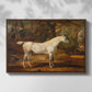 Grey Arabian Stallion, Property of Sir Watkin Williams-Wynn, c. 1817 - Floater Framed Canvas Print