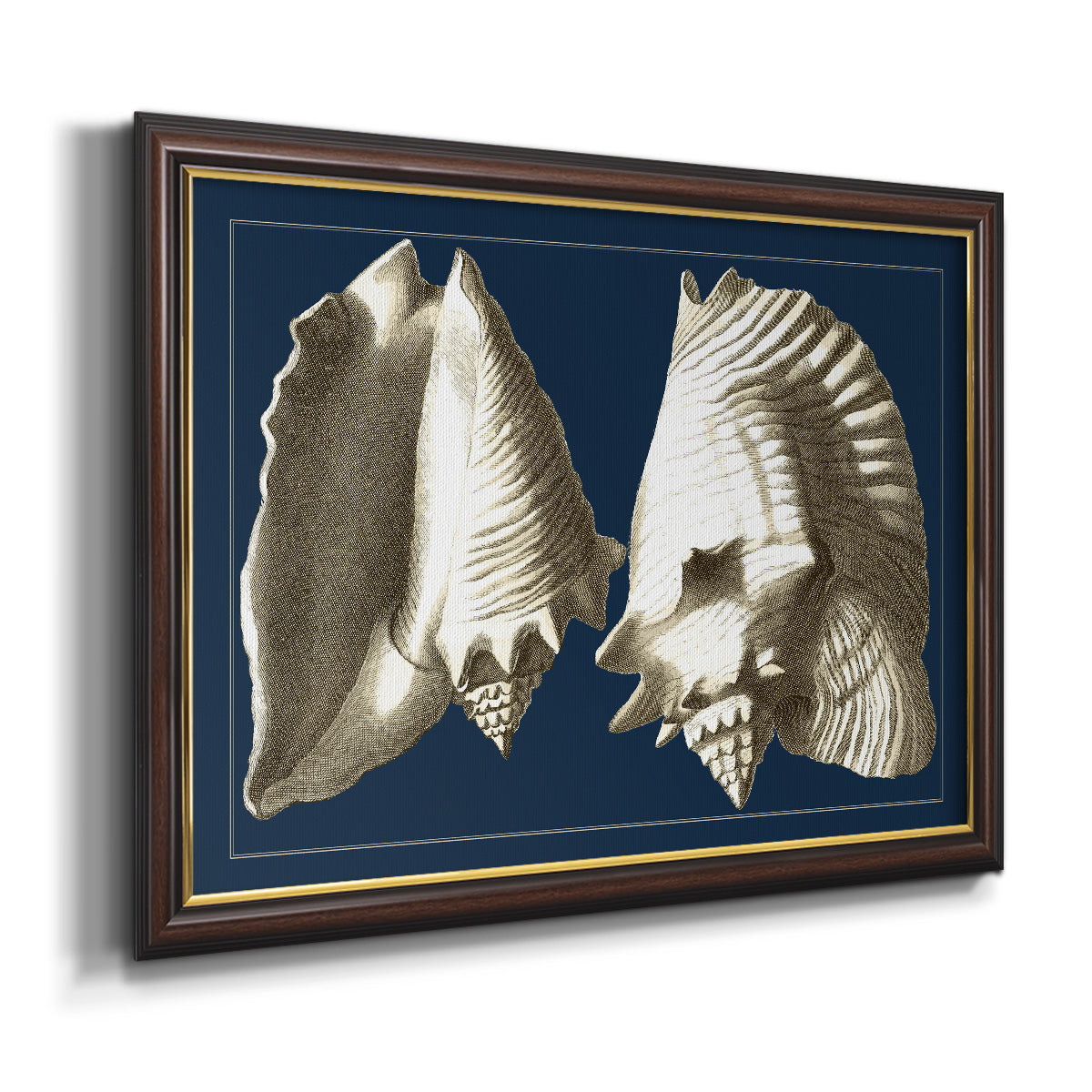 Conch Shells on Navy I Premium Framed Canvas- Ready to Hang