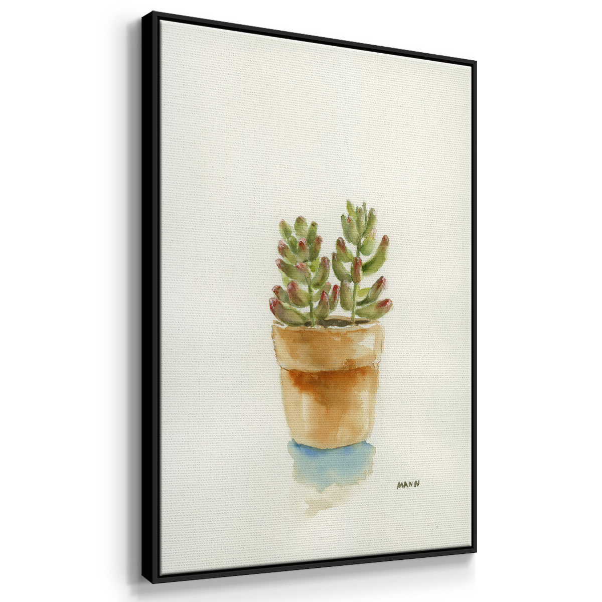 Succulent III - Framed Premium Gallery Wrapped Canvas L Frame - Ready to Hang