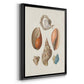 Knorr Shells & Coral I - Modern Framed Canvas Print