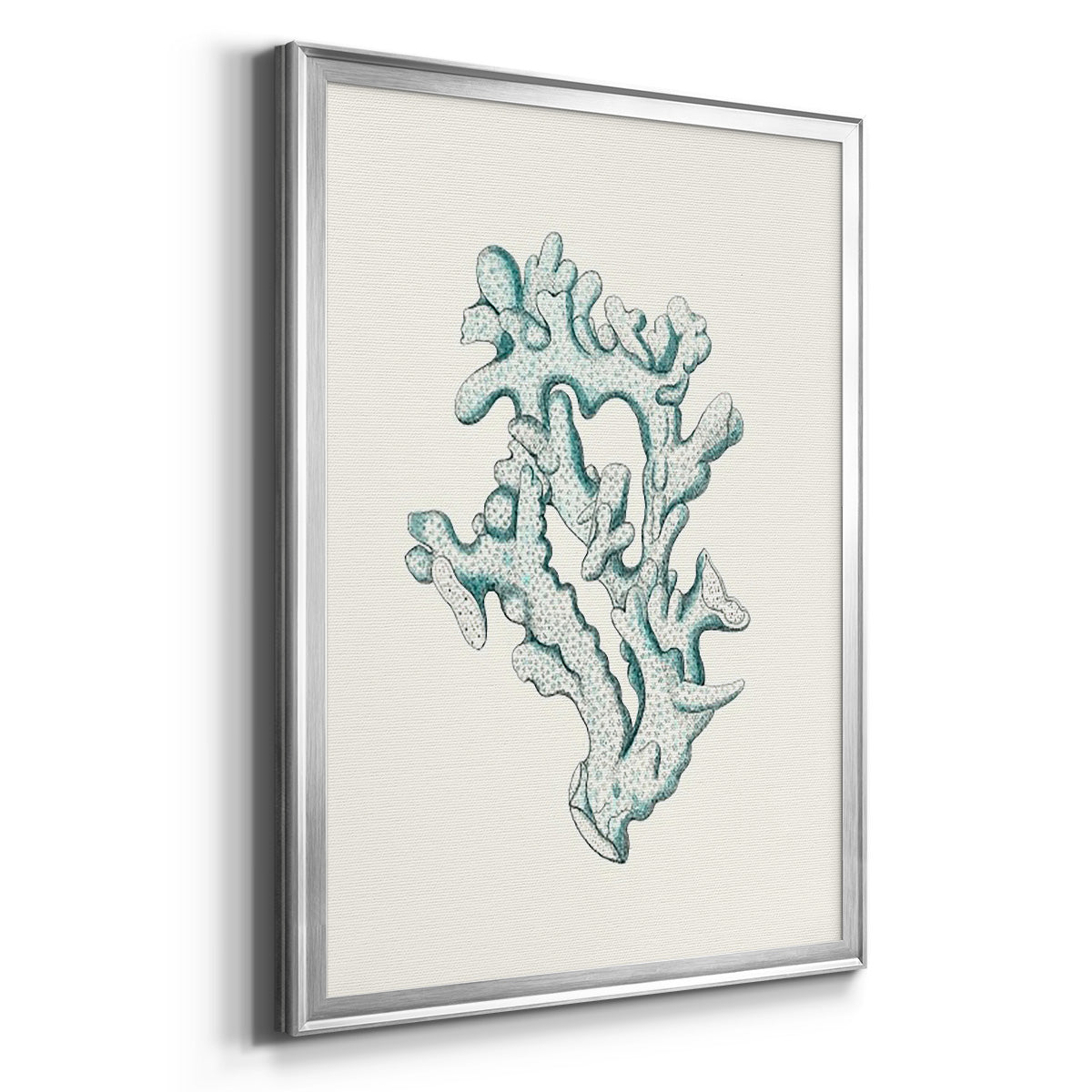 Antique Coastal Coral IV - Modern Framed Canvas Print