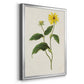 Flowers of the Seasons X - Modern Framed Canvas Print