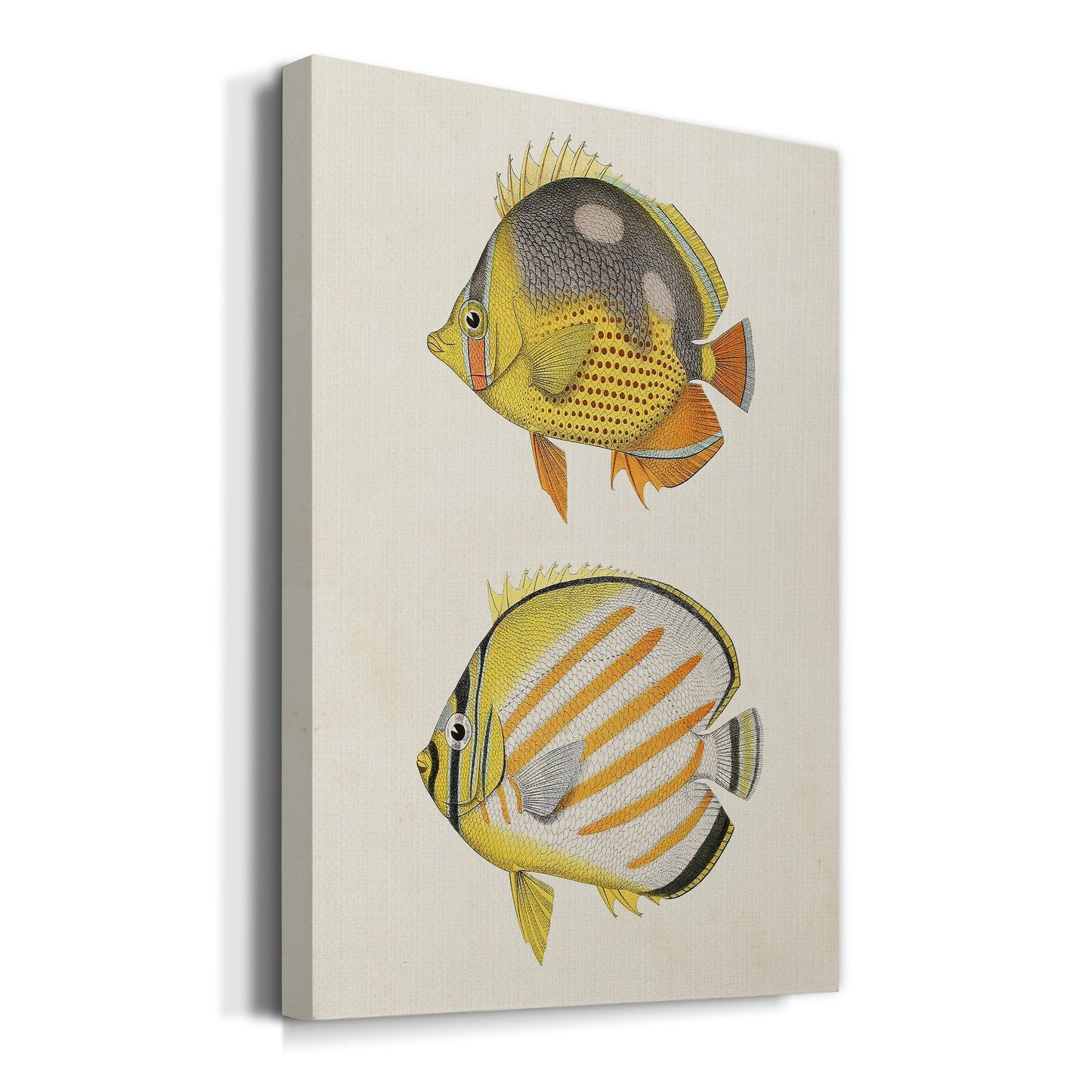 Yellow & Grey Fish IV Premium Gallery Wrapped Canvas - Ready to Hang