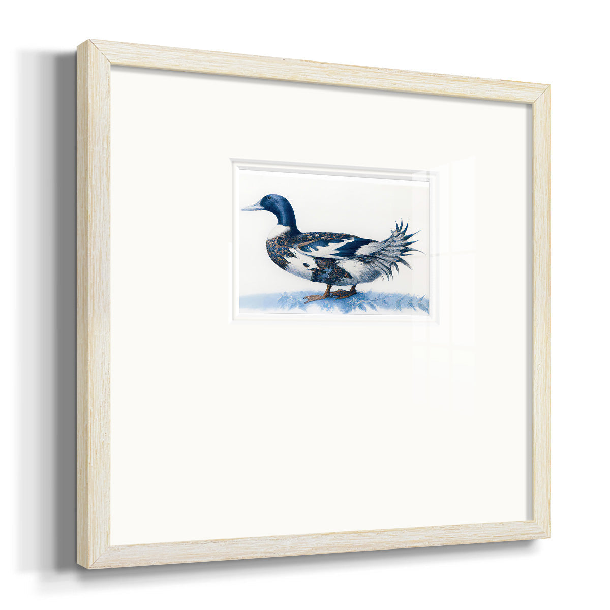 Mallard Blue II - Double Matboard Framed Print
