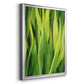 Blades of Grass II - Modern Framed Canvas Print