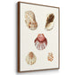 Pastel Knorr Shells IV - Framed Premium Gallery Wrapped Canvas L Frame 3 Piece Set - Ready to Hang