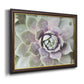 Succulent Glow II - Ornate Framed Canvas Print