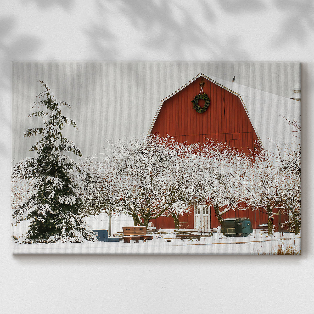 Mistletoe of Sugar Serenade - Canvas Art Print