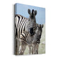 Family of Namibia Premium Gallery Wrapped Canvas - Ready to Hang