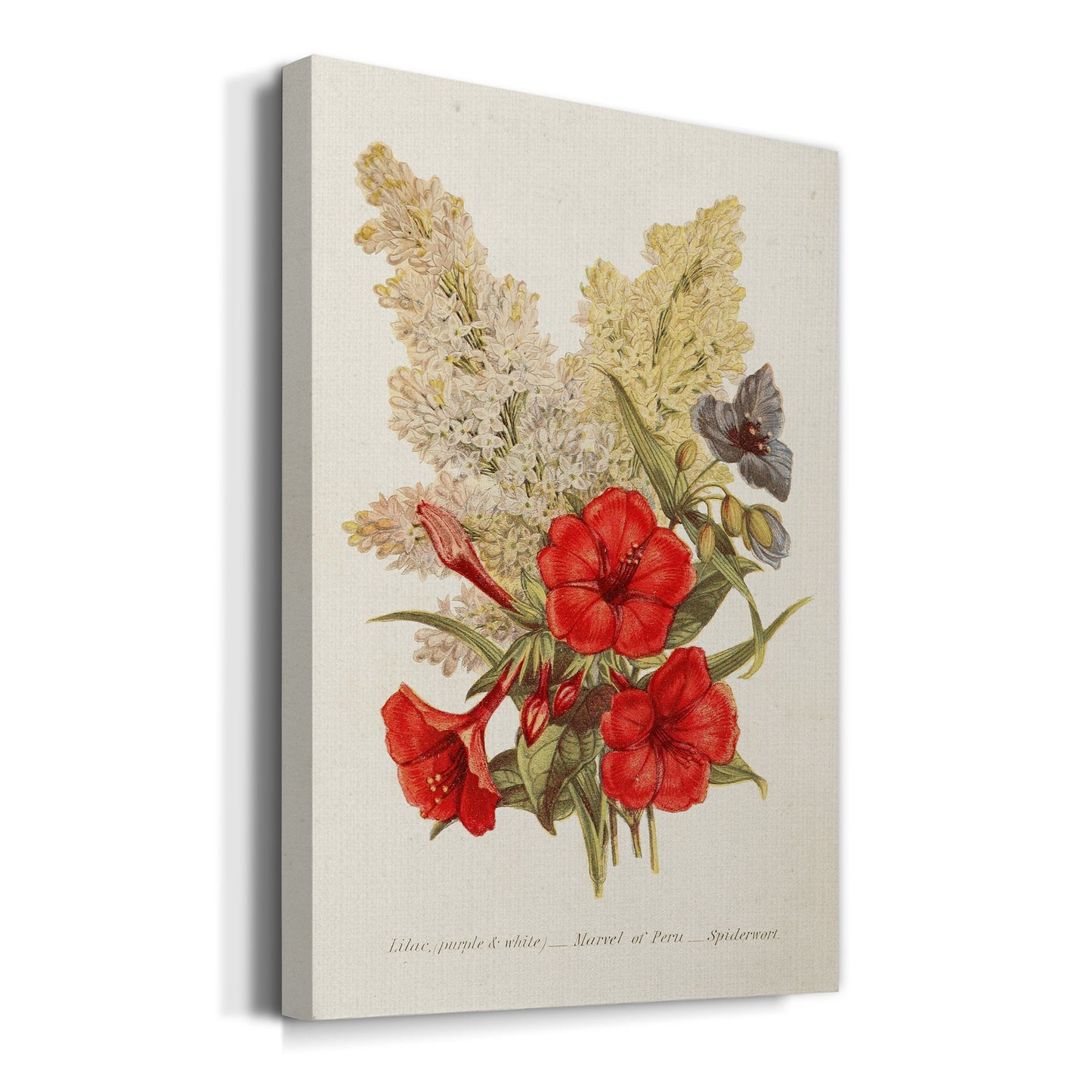 Antique Floral Bouquet V Premium Gallery Wrapped Canvas - Ready to Hang