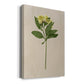 Pretty Pressed Flowers II Premium Gallery Wrapped Canvas - Ready to Hang