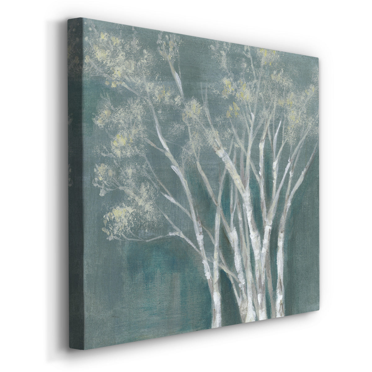 Ethereal Birches I - Canvas Art Print