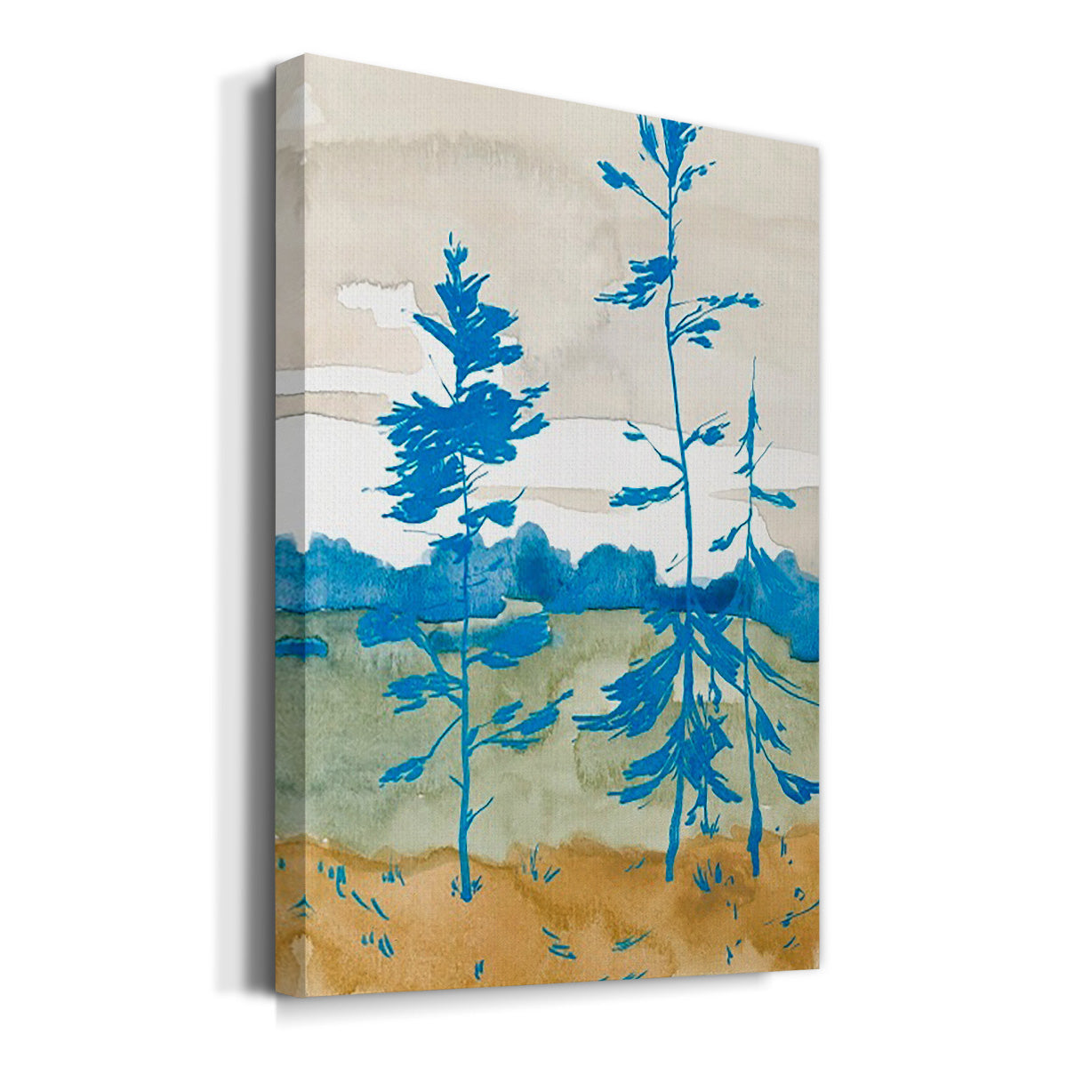 Cerulean Spruce II - Canvas Art Print