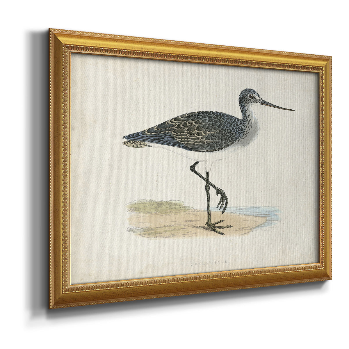 Morris Sandpipers III Premium Framed Canvas- Ready to Hang