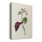 Pretty Pink Botanicals VI Premium Gallery Wrapped Canvas - Ready to Hang