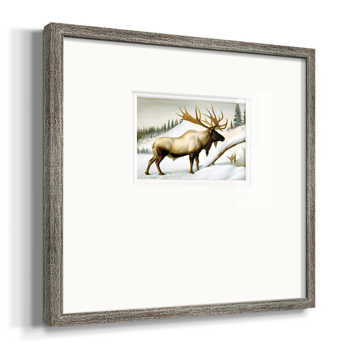 Snow Elk Premium Framed Print Double Matboard