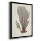 Knorr Shells & Coral III - Modern Framed Canvas Print