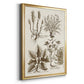 Sepia Botanical Journal VII - Modern Framed Canvas Print