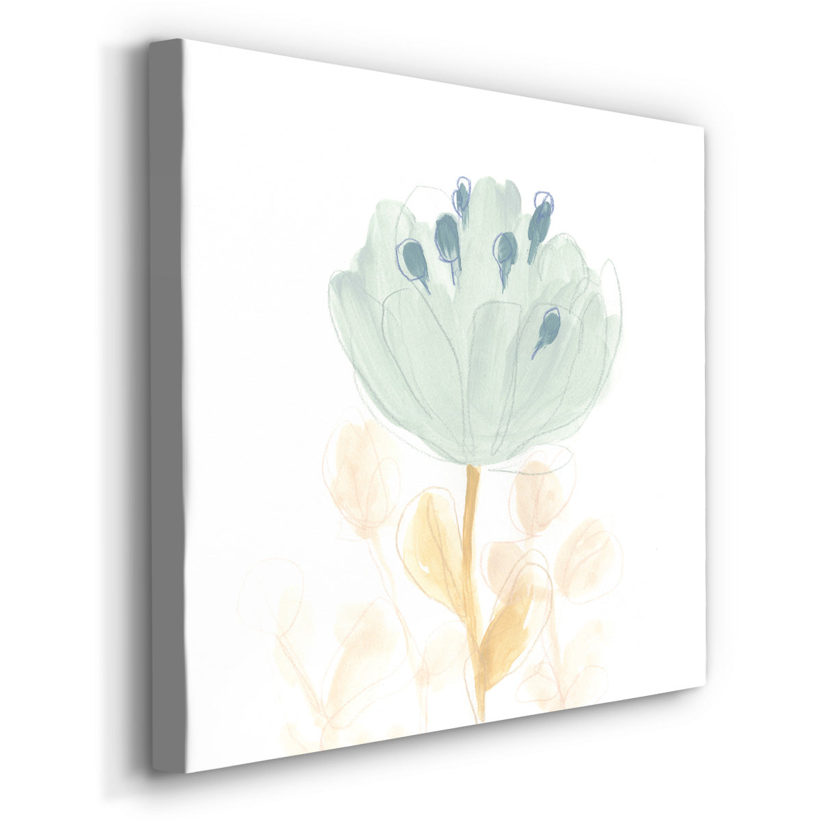 Petite Petals V - Canvas Art Print