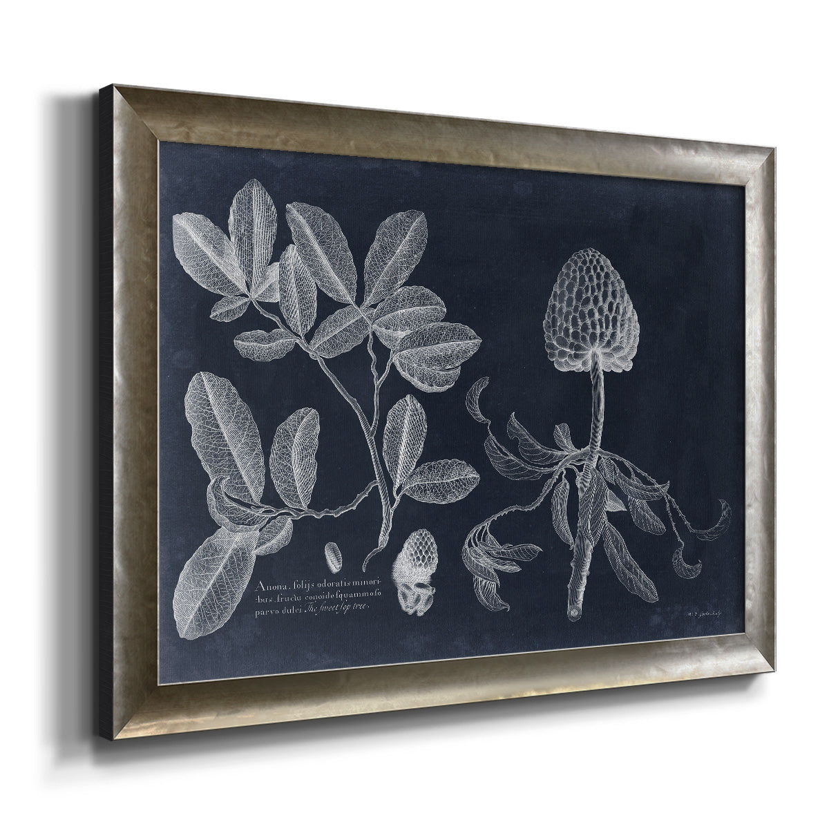 Foliage on Navy II Premium Framed Canvas- Ready to Hang