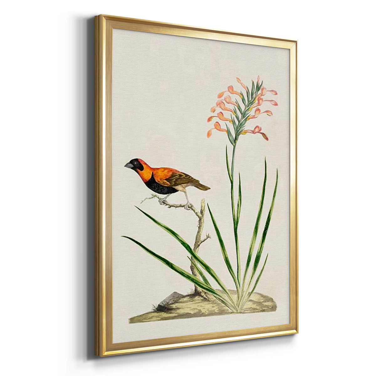 Bird in Habitat III - Modern Framed Canvas Print