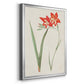 Flowers of the Seasons IV - Modern Framed Canvas Print