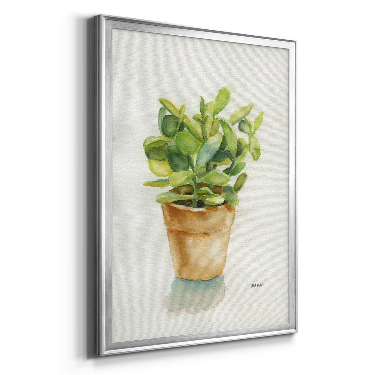 Succulent I - Modern Framed Canvas Print