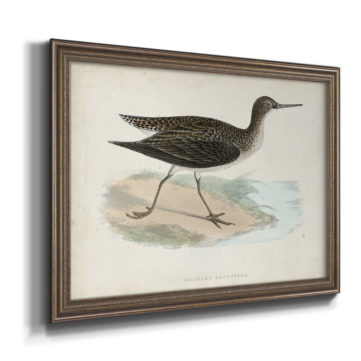 Morris Sandpipers VII Premium Framed Canvas- Ready to Hang