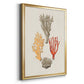 Knorr Shells & Coral IV - Modern Framed Canvas Print