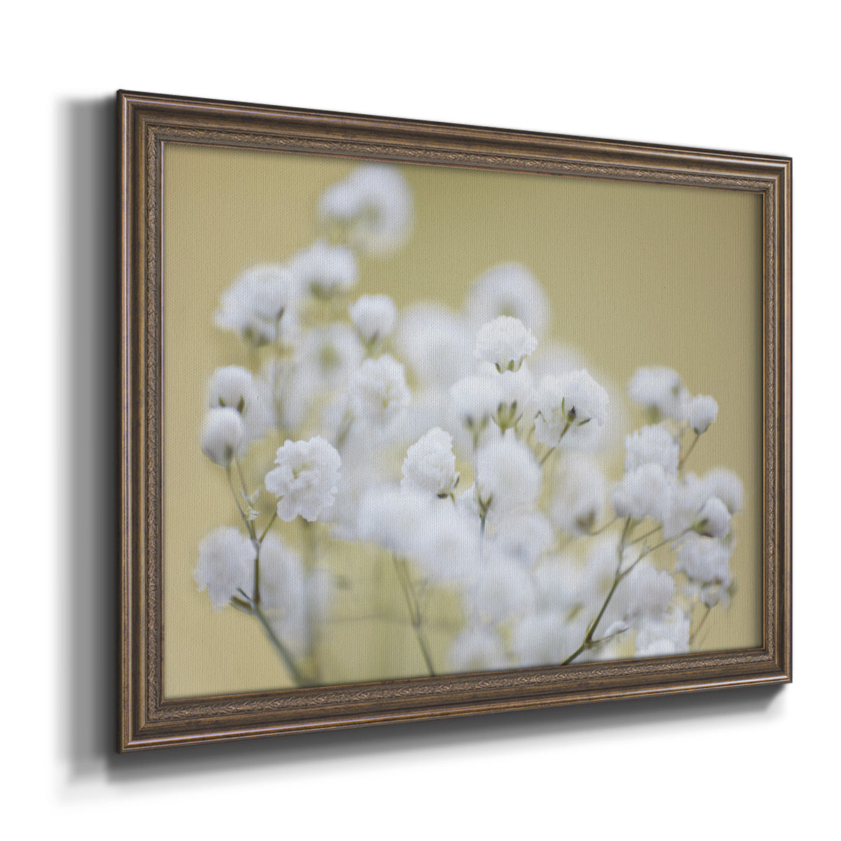 Baby's Breath Study III Premium Framed Canvas- Ready to Hang