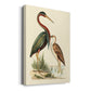 Water Birds III Premium Gallery Wrapped Canvas - Ready to Hang