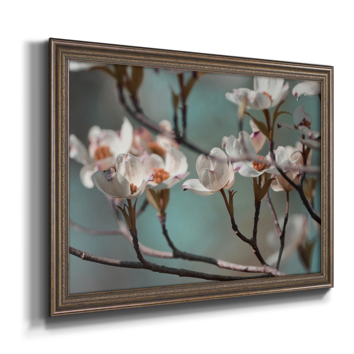 Dogwood Spring IV Premium Framed Canvas- Ready to Hang