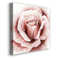 Pink Rose II - Canvas Art Print