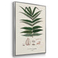 Botanical Society Ferns X - Framed Premium Gallery Wrapped Canvas L Frame 3 Piece Set - Ready to Hang