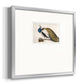 Peackock Plumage Premium Framed Print Double Matboard