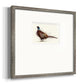 Pheasant Splash 1 Premium Framed Print Double Matboard