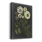 Bookplate Floral II Premium Gallery Wrapped Canvas - Ready to Hang