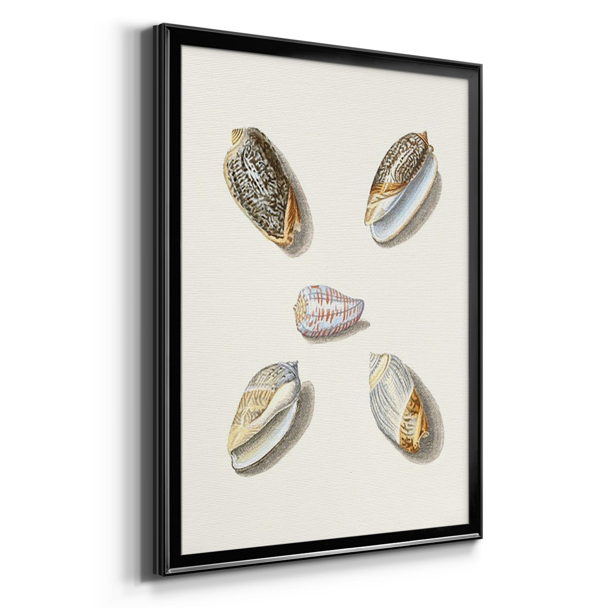 Pastel Knorr Shells III - Modern Framed Canvas Print